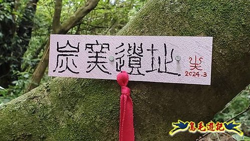 興福寮步道-糞箕湖古道右左線-新向天池山西南稜-向天池山-向天池P形 (15).jpg