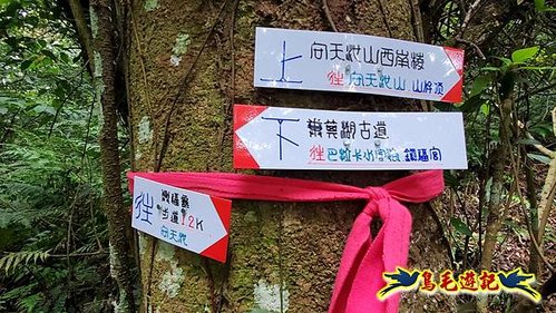 興福寮步道-糞箕湖古道右左線-新向天池山西南稜-向天池山-向天池P形 (20).jpg