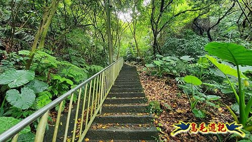 劉銘傳隧道-獅球嶺北峰- 獅球嶺砲台-鷹岩砲台-三坑車站 (24).jpg