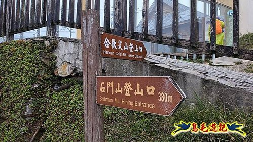 強風迷霧中的杜鵑@合歡群峰~石門山、合歡尖山 (5).jpg
