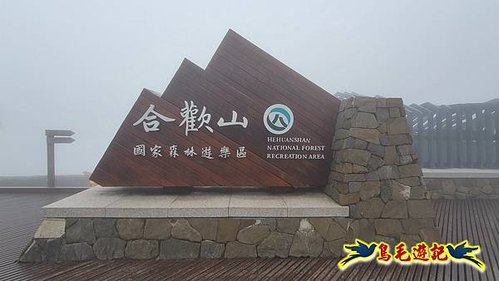 強風迷霧中的杜鵑@合歡群峰~石門山、合歡尖山 (53).jpg