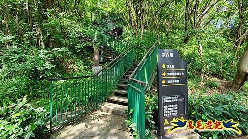 五股水碓觀景公園十層步道 (26).jpg