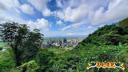 礁溪跑馬古道-坪林石牌縣界公園繡球花 (1).jpg