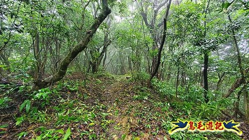 聖人橋-頂山溪山(頂山南峰)-瑪蕃山O形 (7).jpg