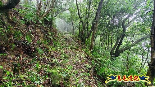 聖人橋-頂山溪山(頂山南峰)-瑪蕃山O形 (8).jpg