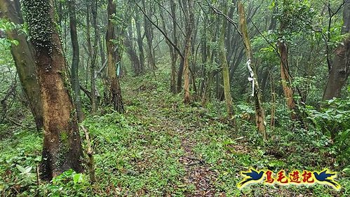 聖人橋-頂山溪山(頂山南峰)-瑪蕃山O形 (10).jpg