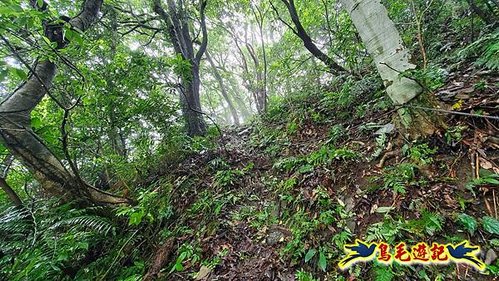 聖人橋-頂山溪山(頂山南峰)-瑪蕃山O形 (12).jpg