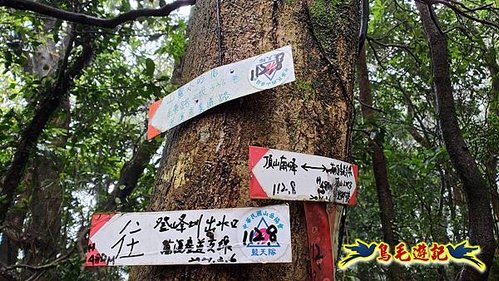 聖人橋-頂山溪山(頂山南峰)-瑪蕃山O形 (9).jpg