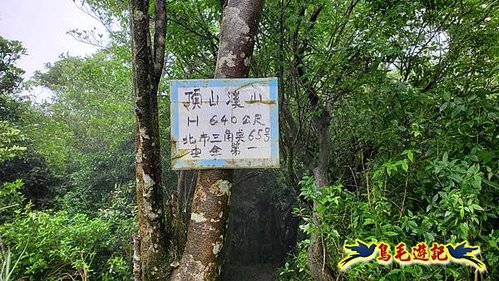 聖人橋-頂山溪山(頂山南峰)-瑪蕃山O形 (15).jpg