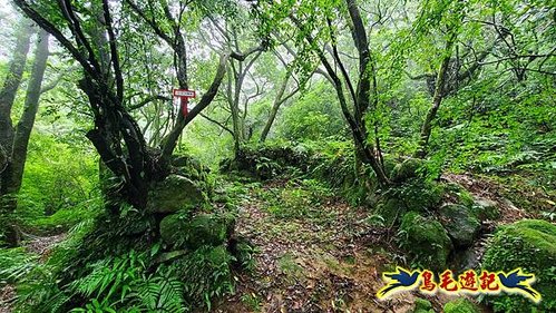 聖人橋-頂山溪山(頂山南峰)-瑪蕃山O形 (20).jpg