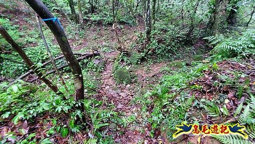 聖人橋-頂山溪山(頂山南峰)-瑪蕃山O形 (22).jpg