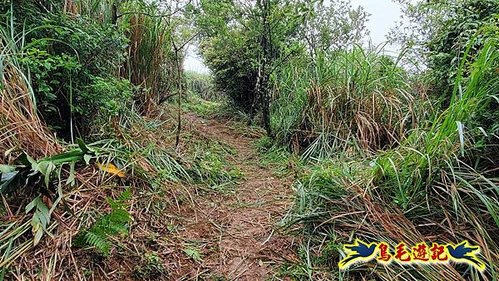 聖人橋-頂山溪山(頂山南峰)-瑪蕃山O形 (25).jpg