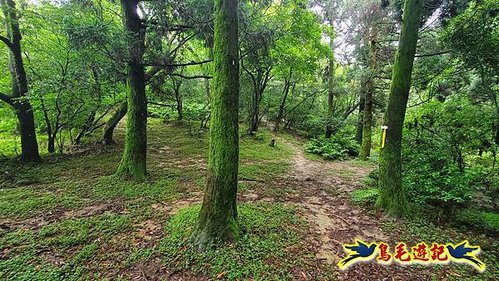 聖人橋-頂山溪山(頂山南峰)-瑪蕃山O形 (30).jpg