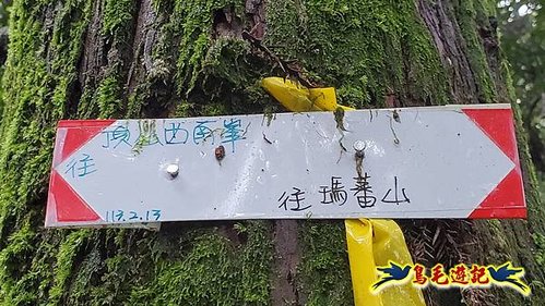 聖人橋-頂山溪山(頂山南峰)-瑪蕃山O形 (31).jpg