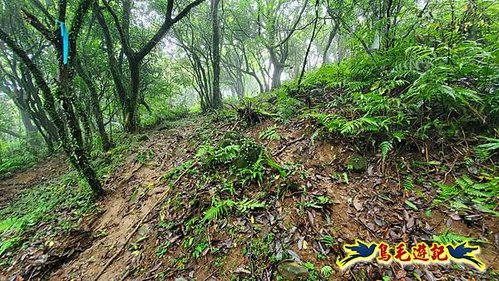 聖人橋-頂山溪山(頂山南峰)-瑪蕃山O形 (35).jpg