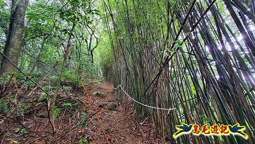 聖人橋-頂山溪山(頂山南峰)-瑪蕃山O形 (38).jpg