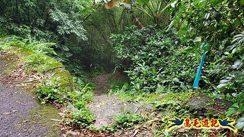 聖人橋-頂山溪山(頂山南峰)-瑪蕃山O形 (44).jpg