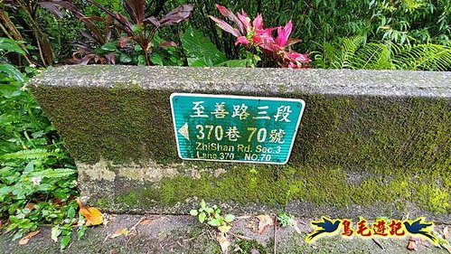 聖人橋-頂山溪山(頂山南峰)-瑪蕃山O形 (42).jpg