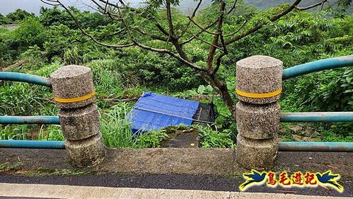 聖人橋-頂山溪山(頂山南峰)-瑪蕃山O形 (51).jpg