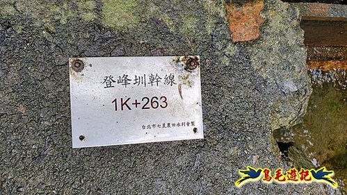 聖人橋-頂山溪山(頂山南峰)-瑪蕃山O形 (53).jpg