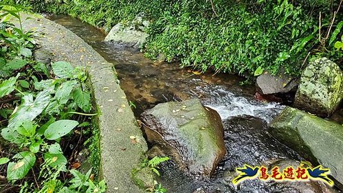 聖人橋-頂山溪山(頂山南峰)-瑪蕃山O形 (52).jpg