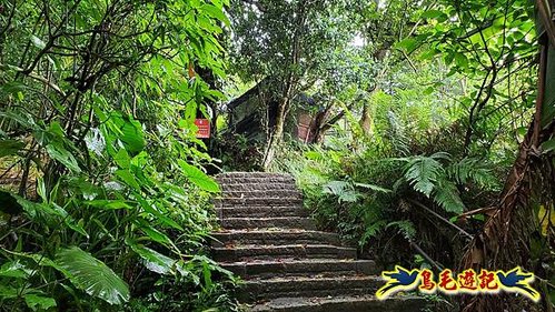 聖人橋-頂山溪山(頂山南峰)-瑪蕃山O形 (55).jpg