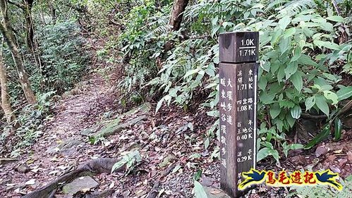 暖東峽谷大小環步道 (15).jpg