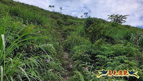 南子吝步道-南子吝山-保羅尖 (39).jpg