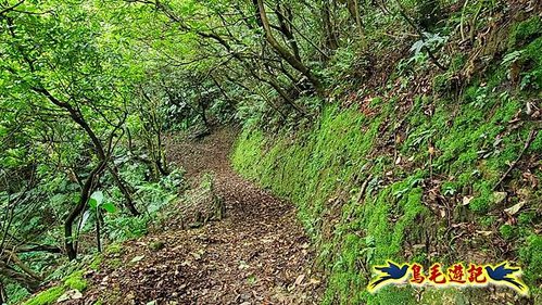 雞籠山步道 (4).jpg