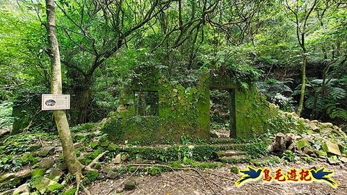 八分寮頂砲台-八分寮古道-烏塗窟古道(百年土地公-周氏古厝)-柴寮古道 (43).jpg