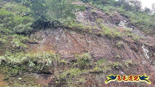 牡丹協天宮松仔嶺古道-焿子寮古道-焿子寮山西南峰-石笋23古厝P形+三貂嶺生態友善隧道(牡丹-猴硐) (121).jpg
