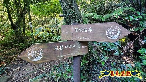 雙溪溝古道-石門嶺古道-內雙溪山8形 (6).jpg