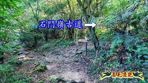 雙溪溝古道-石門嶺古道-內雙溪山8形 (5).jpg