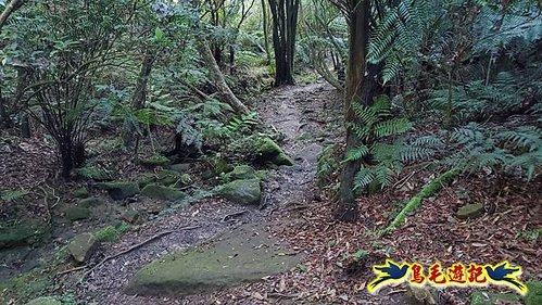 雙溪溝古道-石門嶺古道-內雙溪山8形 (3).jpg