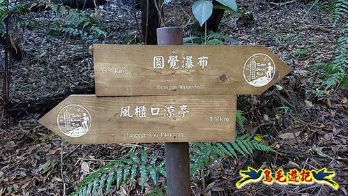 雙溪溝古道-石門嶺古道-內雙溪山8形 (4).jpg