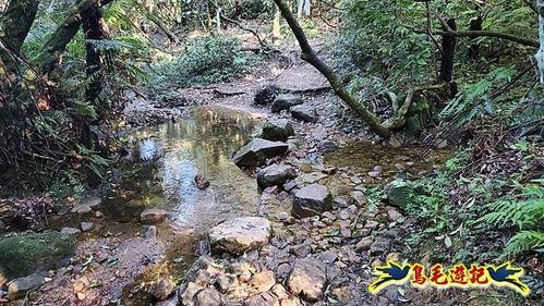 雙溪溝古道-石門嶺古道-內雙溪山8形 (7).jpg