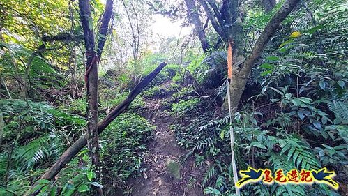 雙溪溝古道-石門嶺古道-內雙溪山8形 (10).jpg