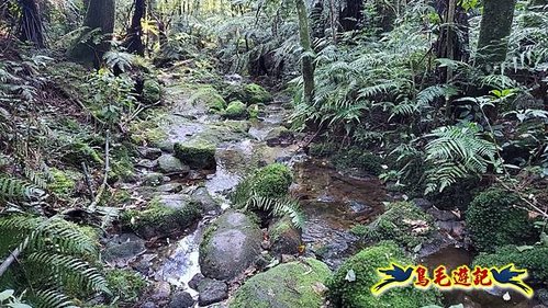 雙溪溝古道-石門嶺古道-內雙溪山8形 (17).jpg