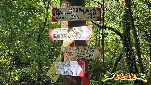 雙溪溝古道-石門嶺古道-內雙溪山8形 (18).jpg