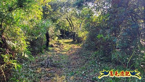 雙溪溝古道-石門嶺古道-內雙溪山8形 (21).jpg