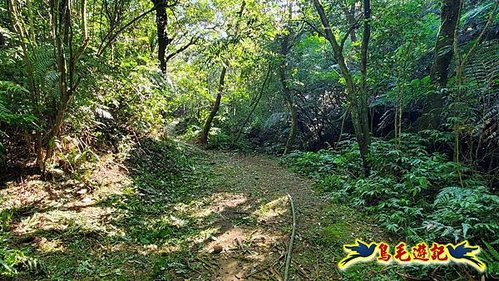 雙溪溝古道-石門嶺古道-內雙溪山8形 (20).jpg