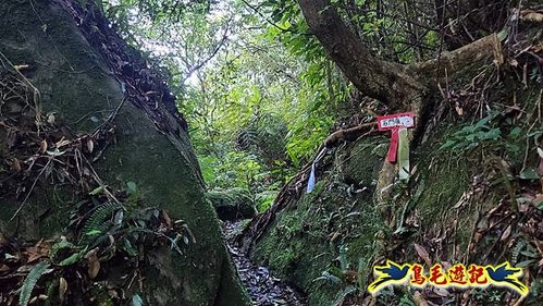 雙溪溝古道-石門嶺古道-內雙溪山8形 (26).jpg