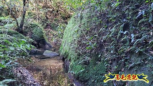 雙溪溝古道-石門嶺古道-內雙溪山8形 (27).jpg