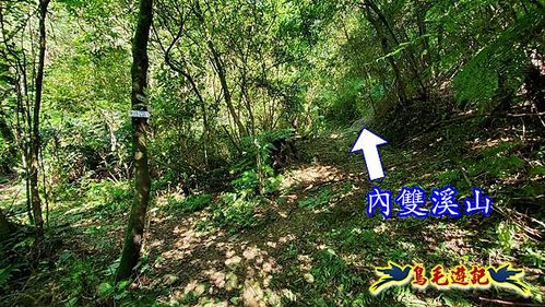 雙溪溝古道-石門嶺古道-內雙溪山8形 (30).jpg