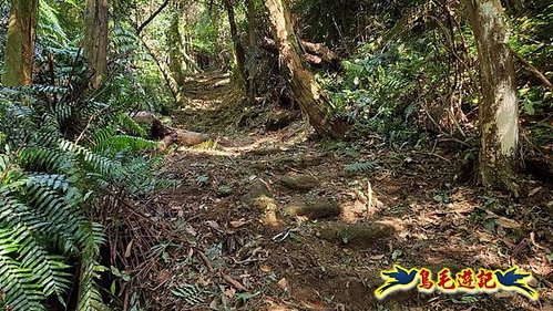 雙溪溝古道-石門嶺古道-內雙溪山8形 (32).jpg