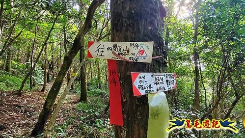 雙溪溝古道-石門嶺古道-內雙溪山8形 (34).jpg