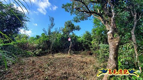 雙溪溝古道-石門嶺古道-內雙溪山8形 (41).jpg