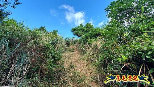 雙溪溝古道-石門嶺古道-內雙溪山8形 (40).jpg