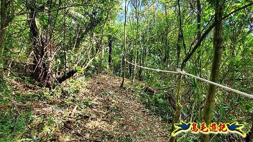 雙溪溝古道-石門嶺古道-內雙溪山8形 (39).jpg