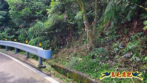 雙溪溝古道-石門嶺古道-內雙溪山8形 (48).jpg